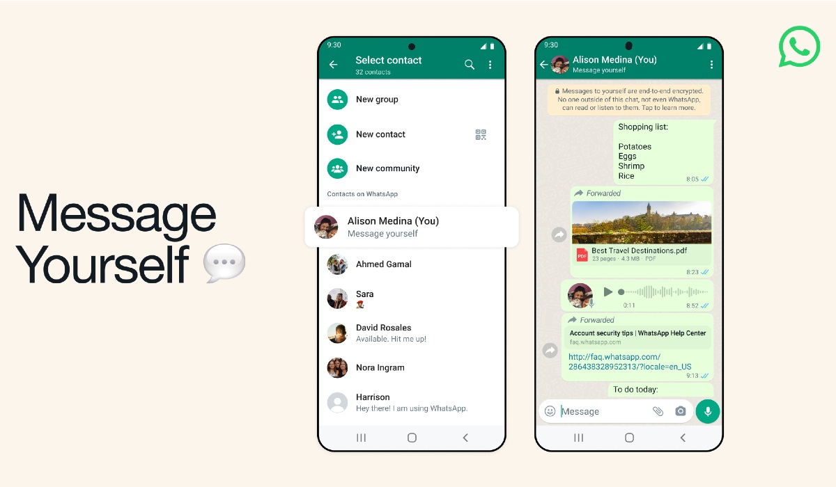 WhatsApp图片总存不进相册？3步设置搞定自动备份